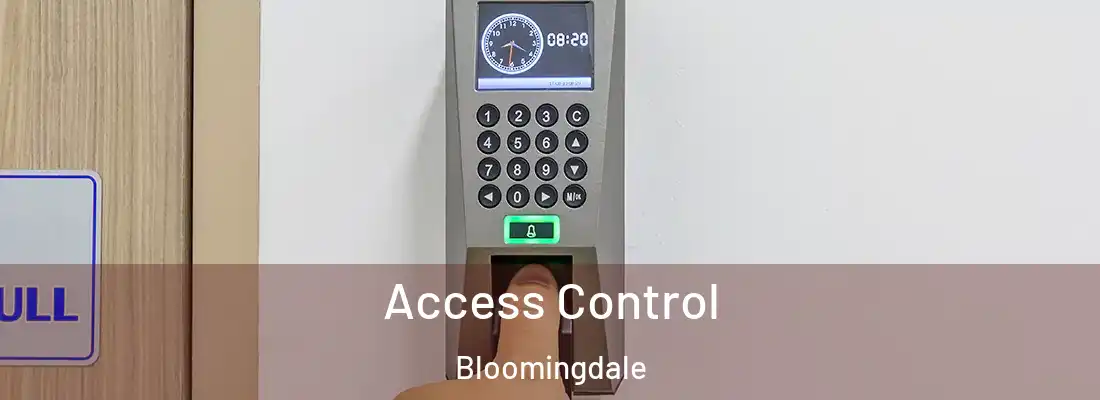  Access Control Bloomingdale