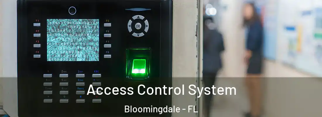  Access Control System Bloomingdale - FL