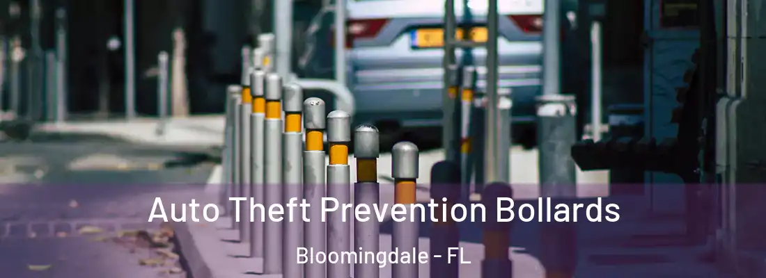  Auto Theft Prevention Bollards Bloomingdale - FL