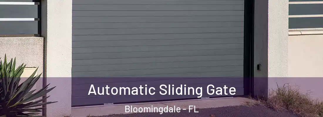  Automatic Sliding Gate Bloomingdale - FL