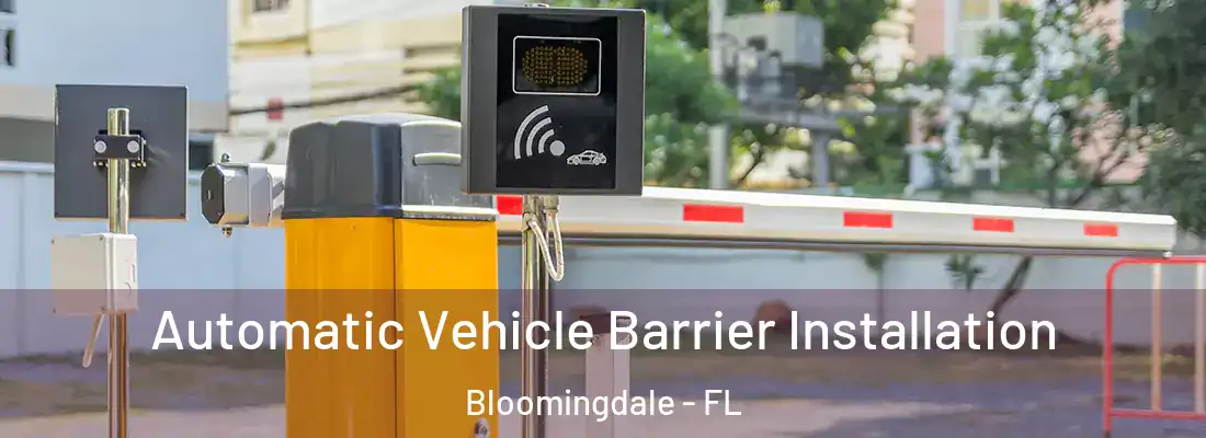  Automatic Vehicle Barrier Installation Bloomingdale - FL