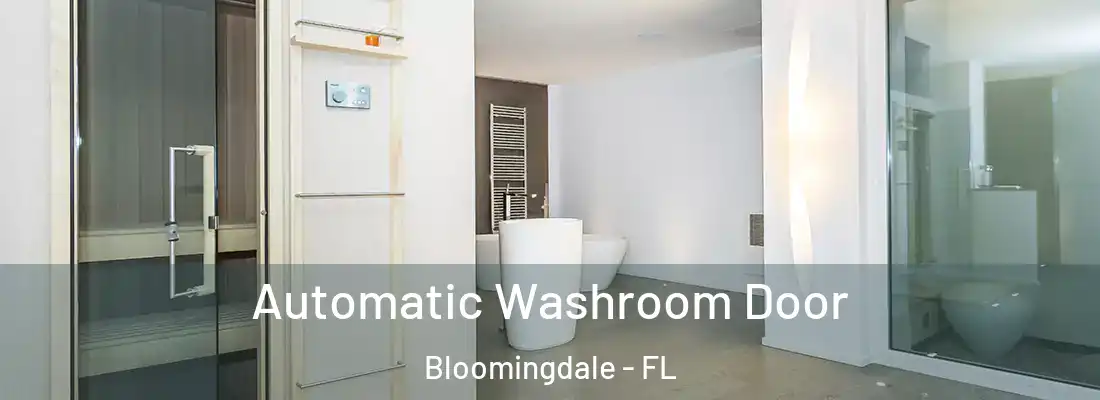  Automatic Washroom Door Bloomingdale - FL