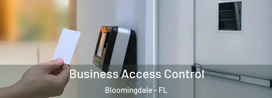  Business Access Control Bloomingdale - FL