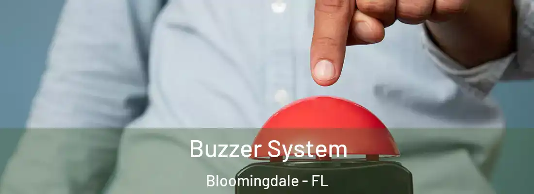  Buzzer System Bloomingdale - FL