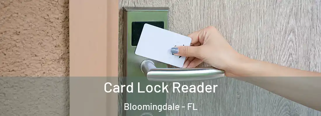  Card Lock Reader Bloomingdale - FL