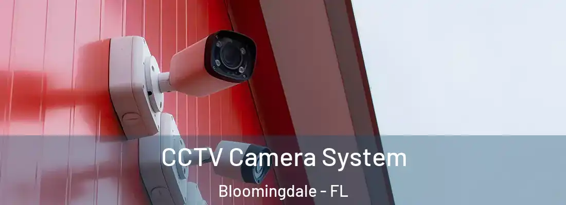  CCTV Camera System Bloomingdale - FL