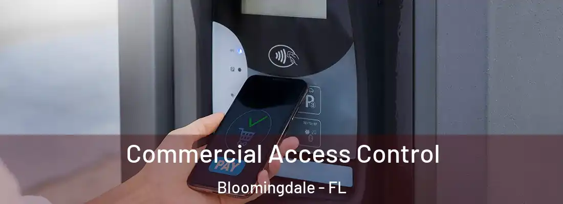 Commercial Access Control Bloomingdale - FL