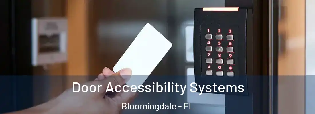  Door Accessibility Systems Bloomingdale - FL