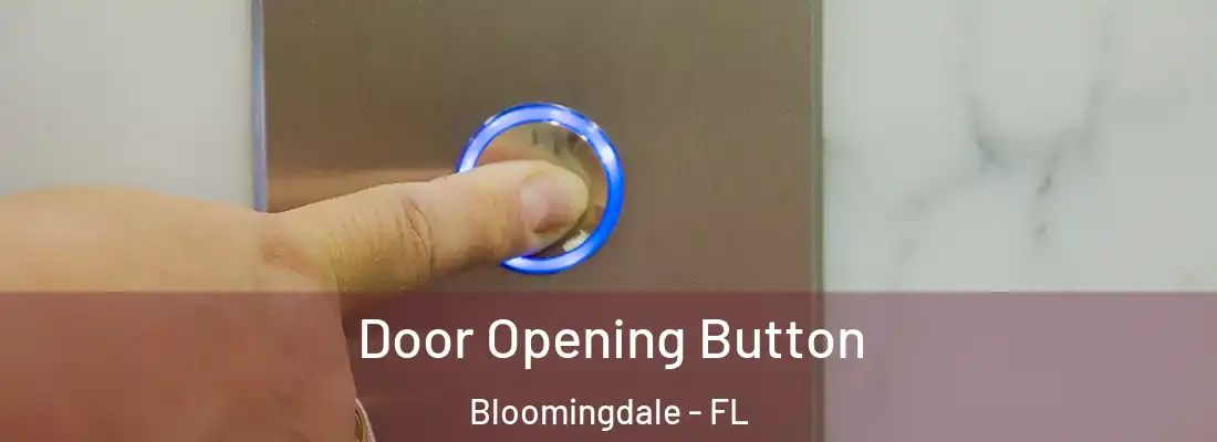  Door Opening Button Bloomingdale - FL
