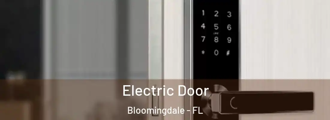  Electric Door Bloomingdale - FL