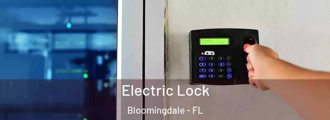  Electric Lock Bloomingdale - FL