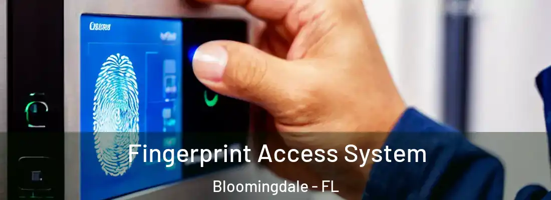  Fingerprint Access System Bloomingdale - FL