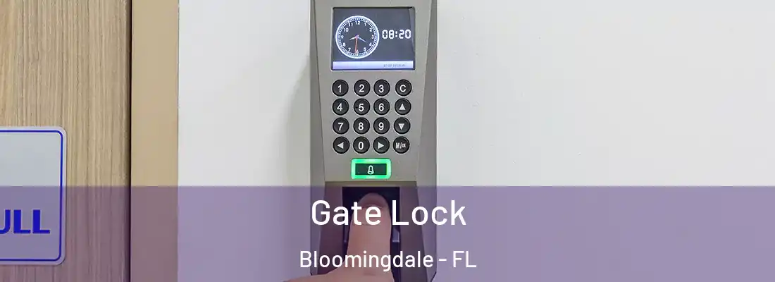 Gate Lock Bloomingdale - FL
