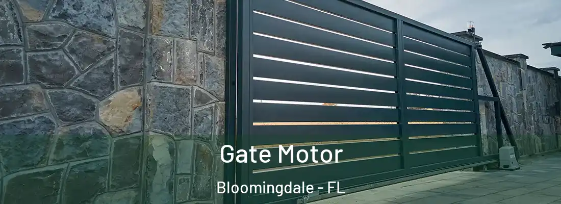  Gate Motor Bloomingdale - FL