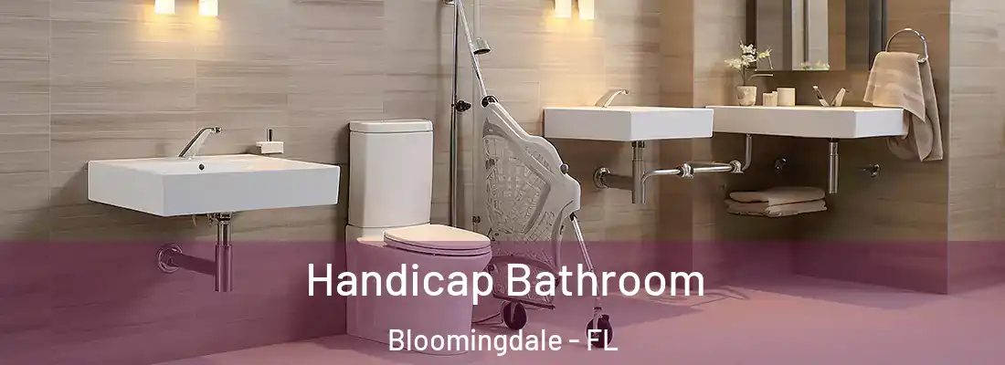  Handicap Bathroom Bloomingdale - FL