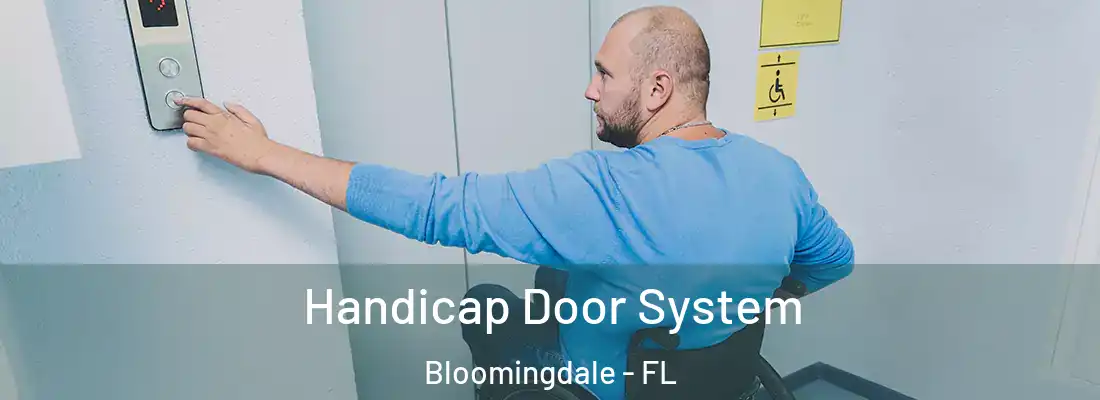  Handicap Door System Bloomingdale - FL