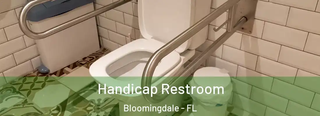  Handicap Restroom Bloomingdale - FL