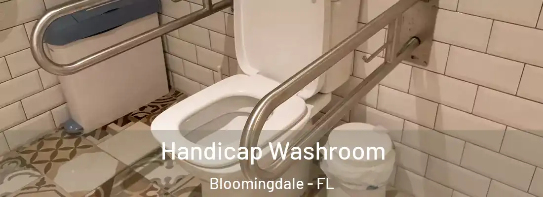  Handicap Washroom Bloomingdale - FL