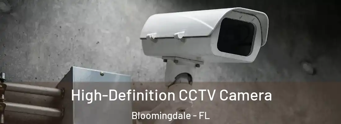  High-Definition CCTV Camera Bloomingdale - FL