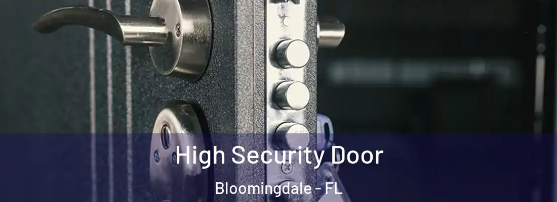  High Security Door Bloomingdale - FL