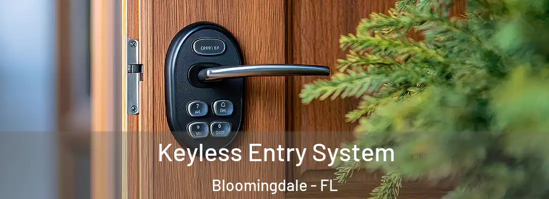  Keyless Entry System Bloomingdale - FL