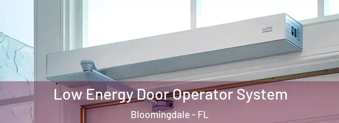  Low Energy Door Operator System Bloomingdale - FL