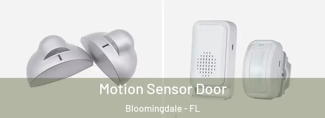  Motion Sensor Door Bloomingdale - FL