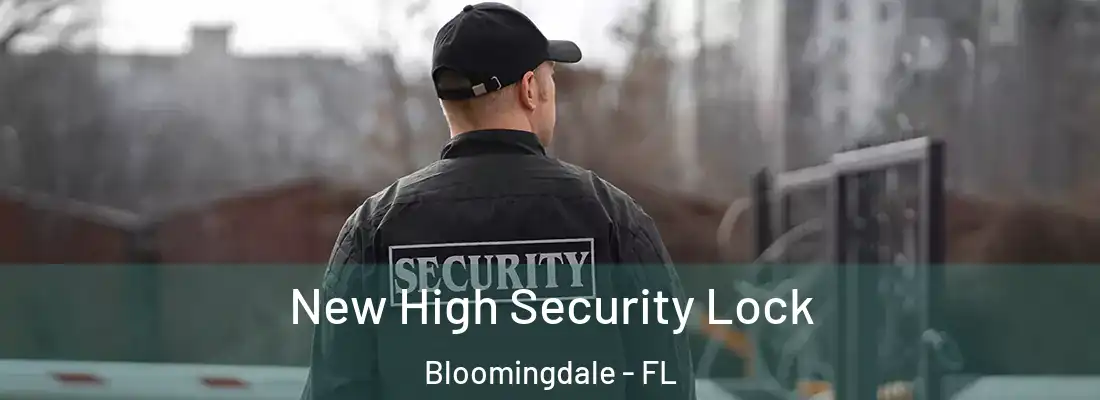  New High Security Lock Bloomingdale - FL
