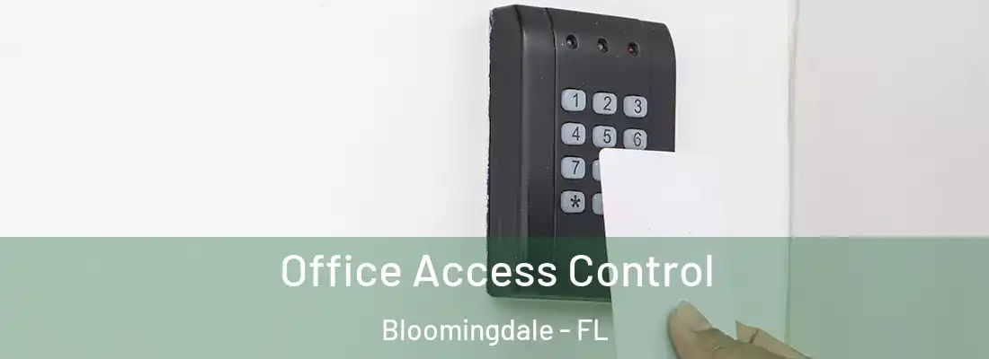  Office Access Control Bloomingdale - FL