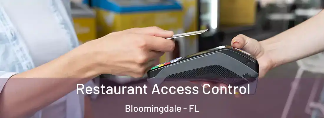  Restaurant Access Control Bloomingdale - FL