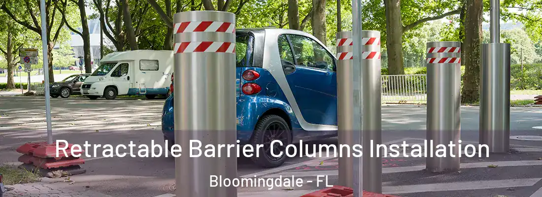  Retractable Barrier Columns Installation Bloomingdale - FL