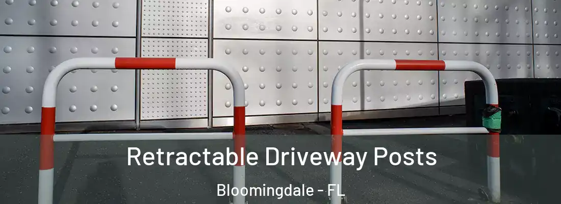  Retractable Driveway Posts Bloomingdale - FL