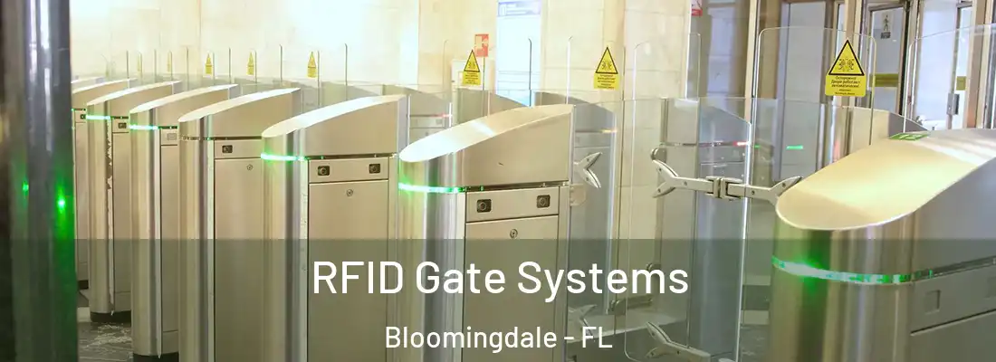  RFID Gate Systems Bloomingdale - FL
