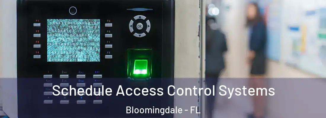 Schedule Access Control Systems Bloomingdale - FL