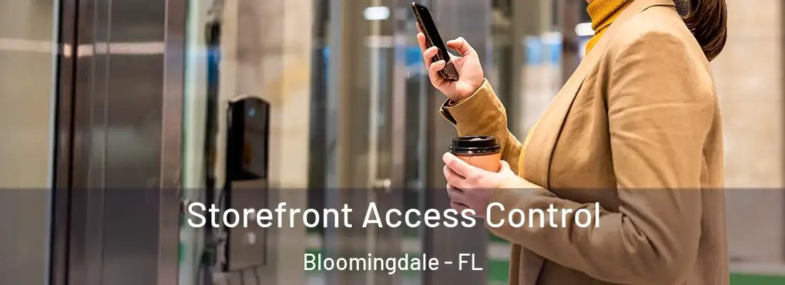  Storefront Access Control Bloomingdale - FL
